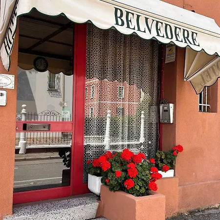 Nuova Belvedere *